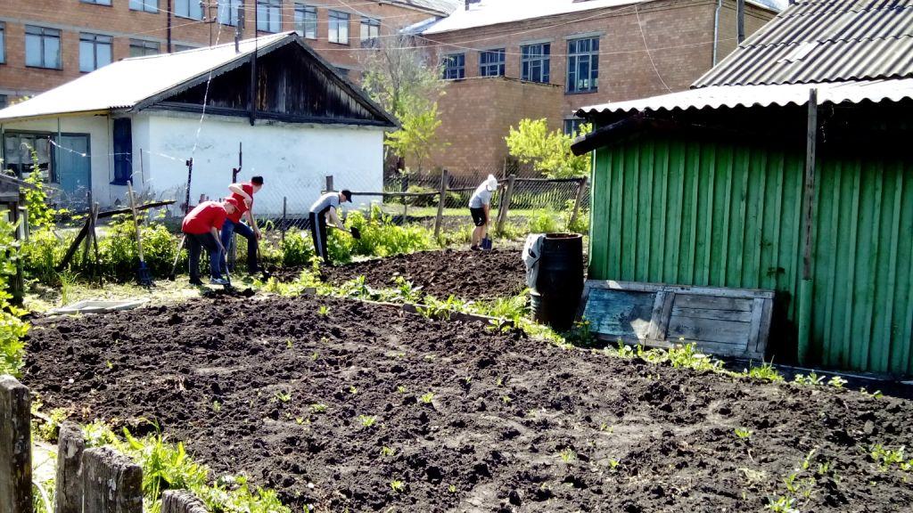 Мураши фото на документы